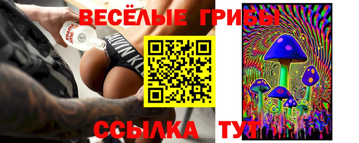 Псилоцибиновые грибы мицелий Верхняя Пышма