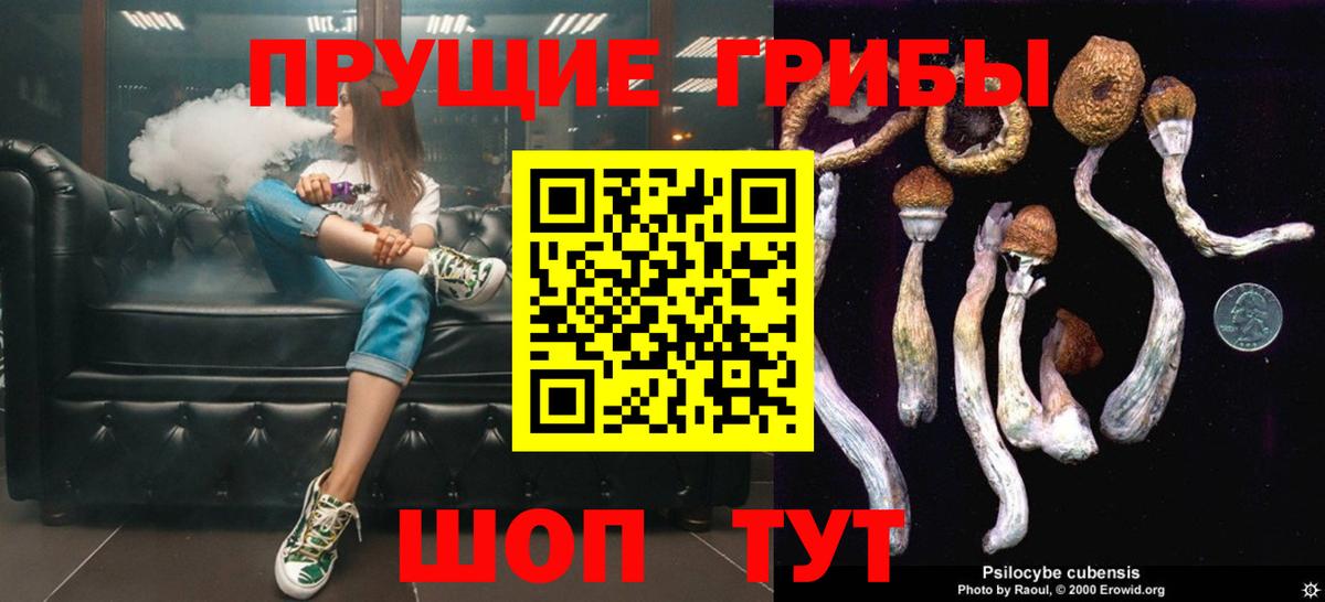 Верхняя Пышма  Псилоцибиновые грибы Psilocybine cubensis  Вход с VPN 